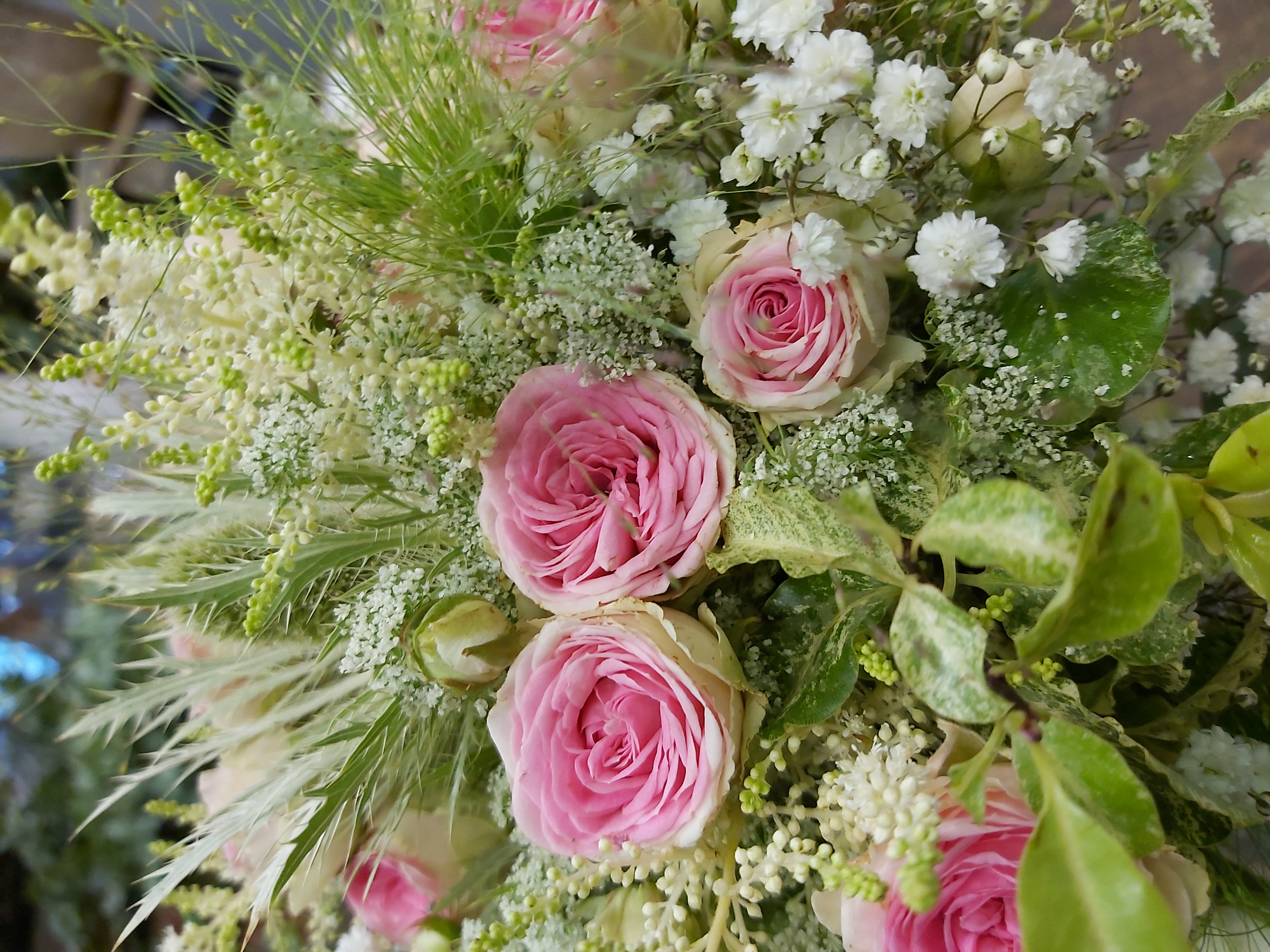 d’un bouquet composé de rosettes mini eden, chardons blancs, dille, panicum, gypsophile.