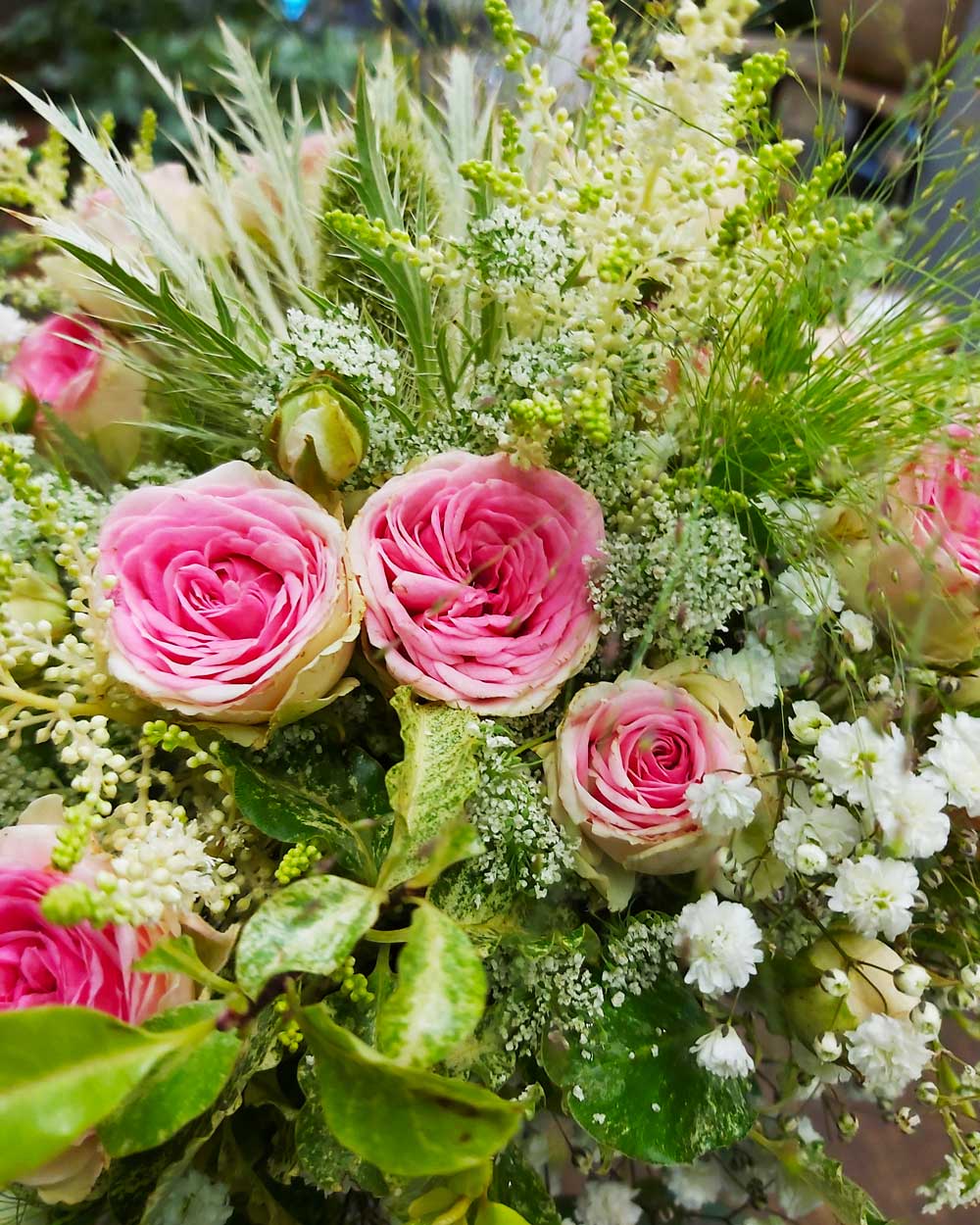 Un bouquet composé de rosettes mini eden, chardons blancs, dille, panicum, gypsophile.